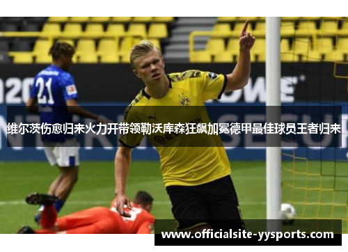 维尔茨伤愈归来火力开带领勒沃库森狂飙加冕德甲最佳球员王者归来